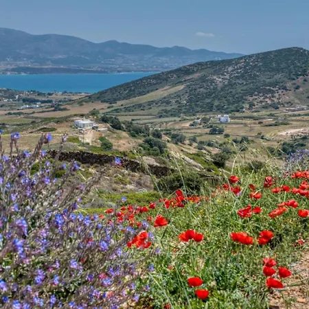 La Bergerie D'antiparos *